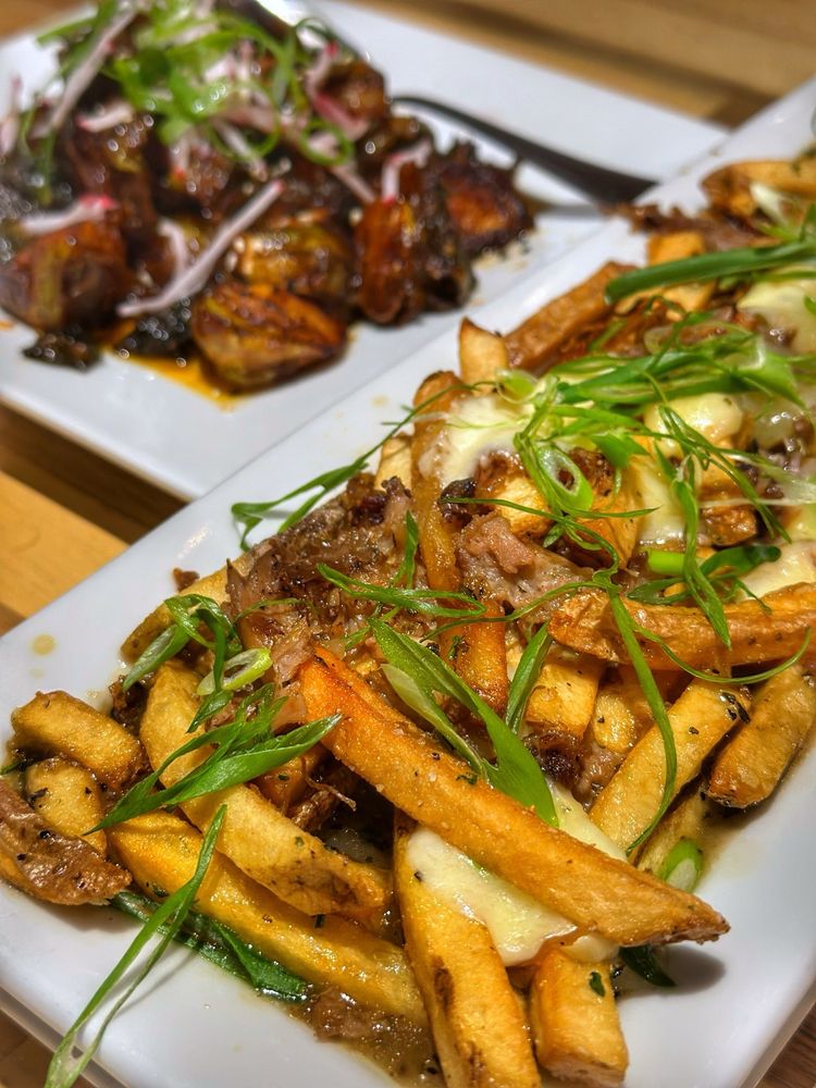 Dog And Pony