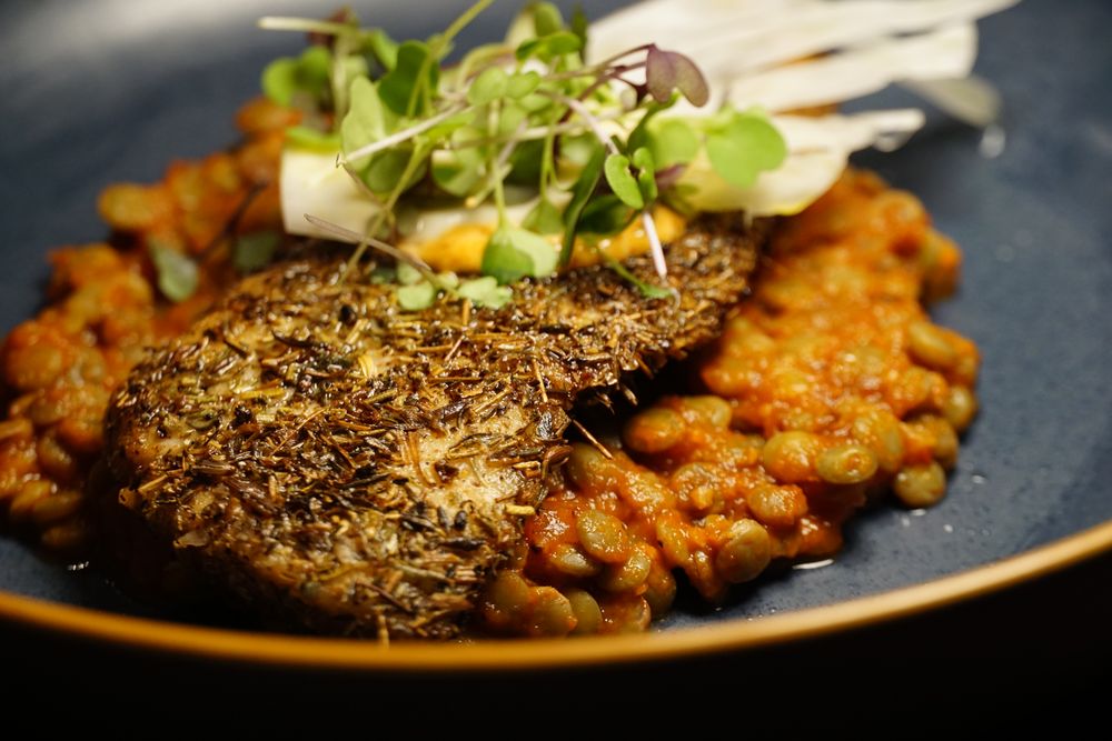 Lady Elaine
